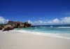 beach-4957461_1280.jpg